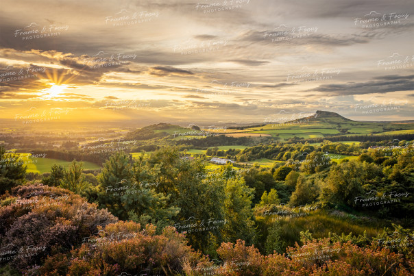 To buy a print or any of the below please click on the images